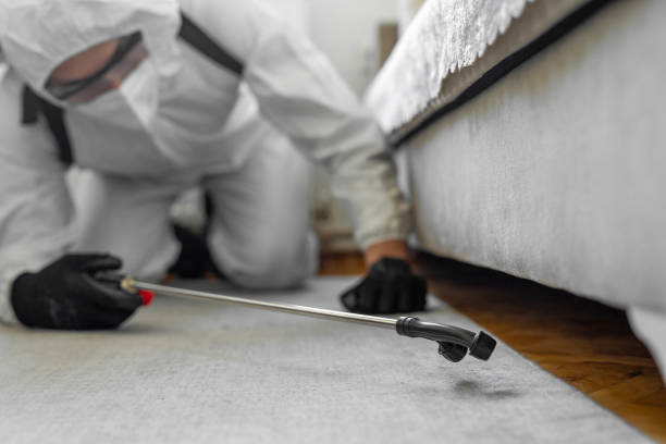 Professional Bed Bug Control technician working in Horseshoe Bay, TX