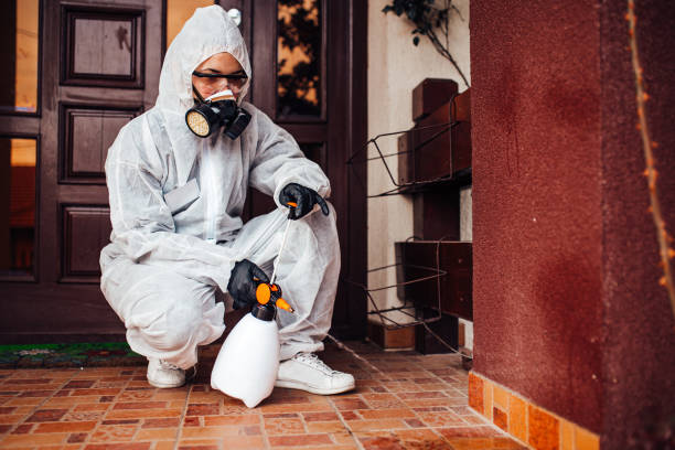 Reliable Bed Bug Control contractor in Horseshoe Bay, TX by Nex Pest Control