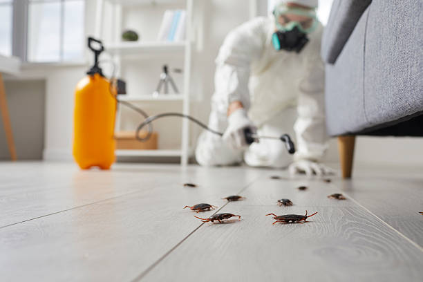 Trusted Cockroach Control service in Horseshoe Bay, TX - Nex Pest Control